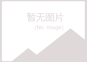 重庆山柏会计有限公司